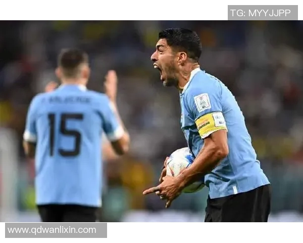 乌拉圭足球明星的传奇故事与他们的辉煌成就盘点