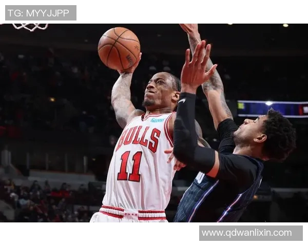 2013年公牛队与篮网队的经典对决回顾与分析